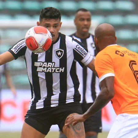 Botafogo busca ampliar histórico na Libertadores com nova participação