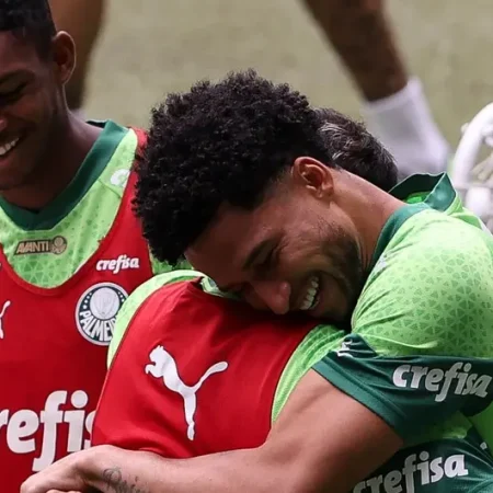 Palmeiras estreia novo gramado do Allianz Parque contra o Novorizontino no Paulistão 2024