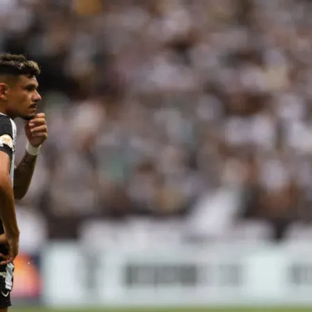 Botafogo Enfrenta Campeonato Brasileiro Difícil Após Liderar com Folga