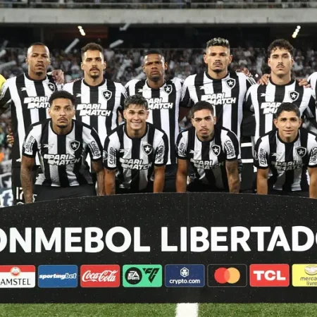 Botafogo Navega por Águas Turbulentas e Esperançosas em 2024: Avaliação e Expectativas dos Torcedores